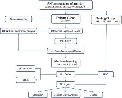 Identification of diagnostic biomarkers and potential therapeutic targets for biliary atresia via WGCNA and machine learning methods